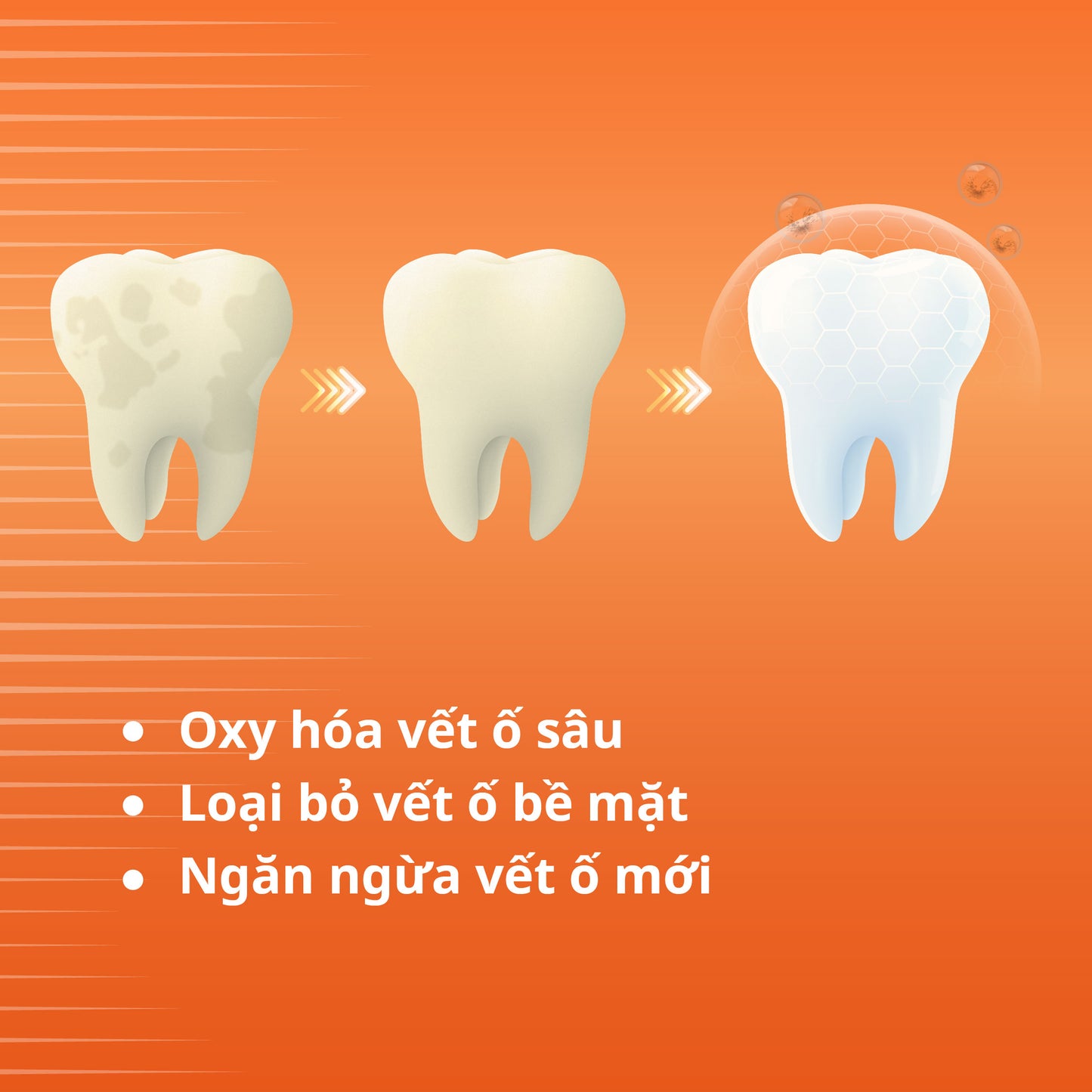 [MỚI] Kem Đánh Răng Hỗ Trợ Làm Trắng Răng Zenyum White + Shield Whitening 100g